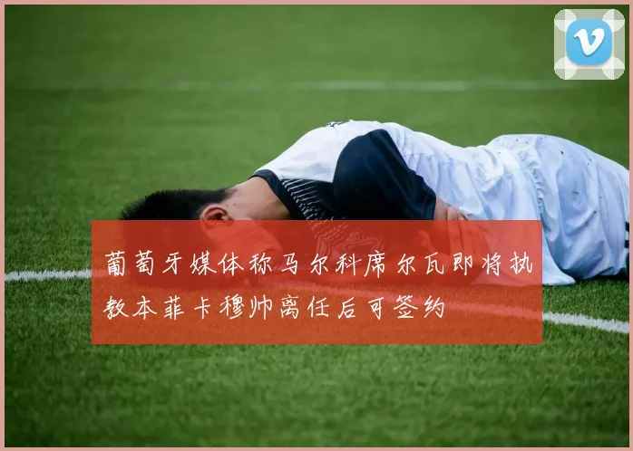 葡萄牙媒体称马尔科席尔瓦即将执教本菲卡穆帅离任后可签约